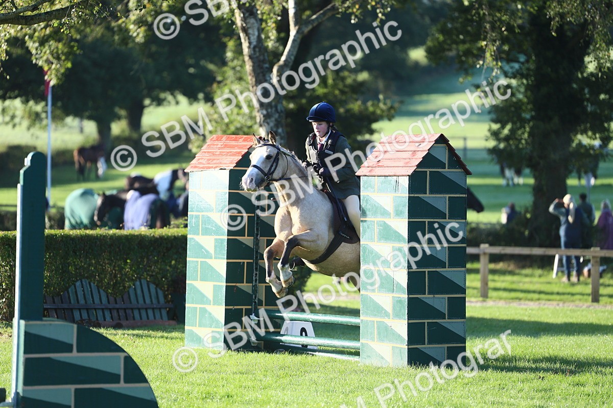 SBM_31859 - S28 - Nursery Stakes Working Hunter Pony