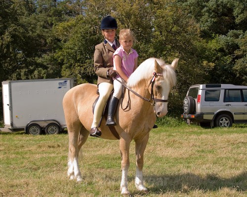 149 - Moniaive Horse Show 2008