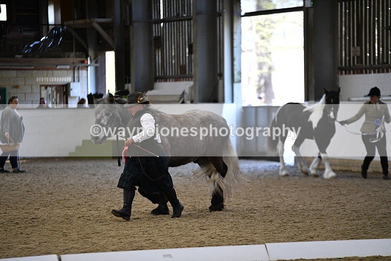 WJ5_3744 - Class 5 In Hand Veterans