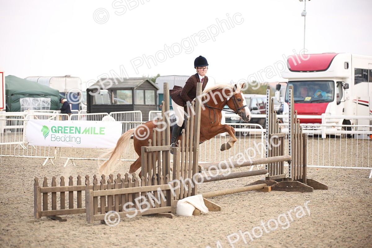 SBM_16025 - Class 408b - Working Veteran 70cm (20+)