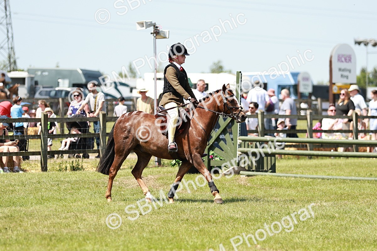 SBM_15584 - Class 108-109 - BSPS LIHS Open Gradle & Nursery Stakes