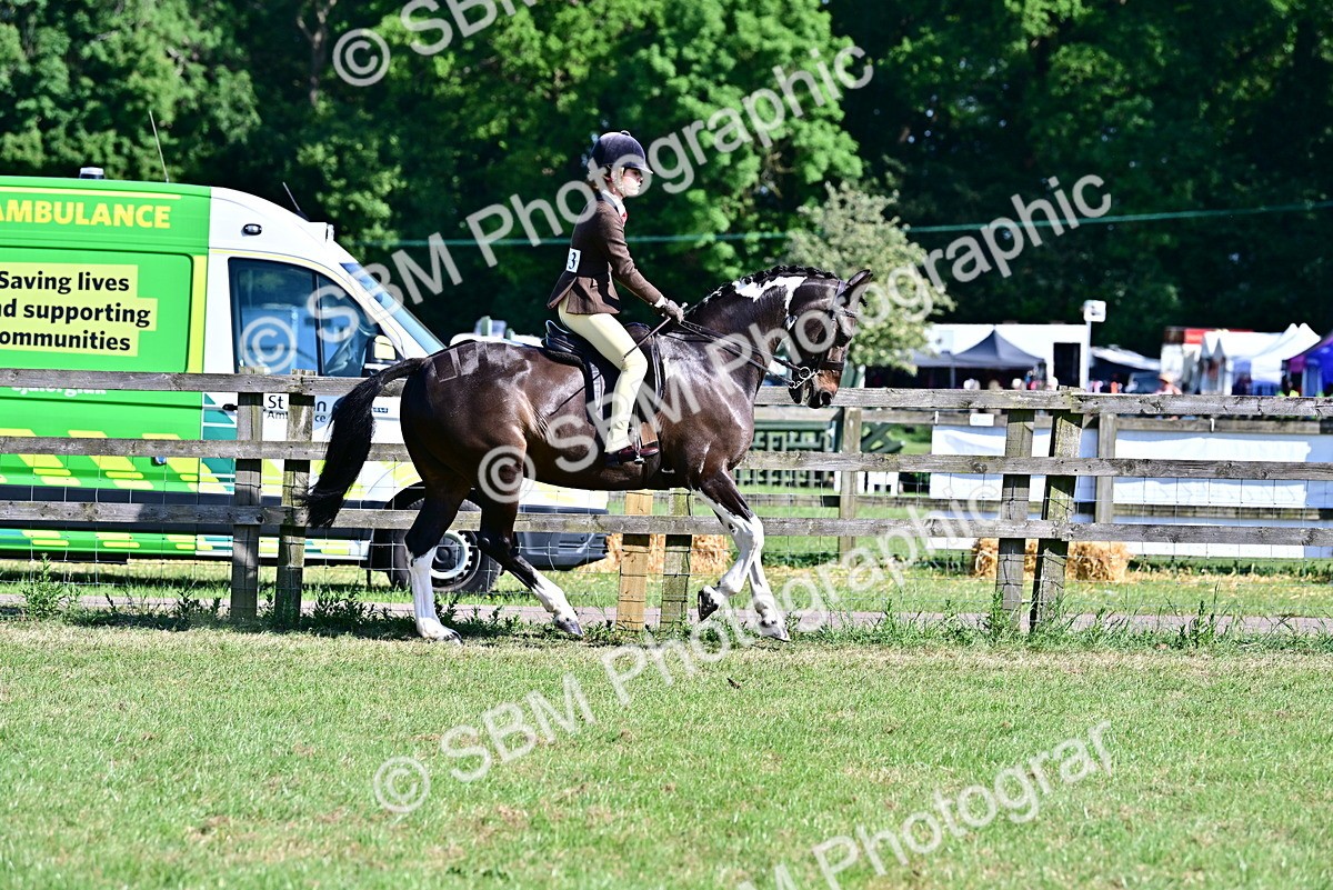 SBM_19523 - Class 101-102 - BSPS LIHS Performance Coloured Horse/Pony