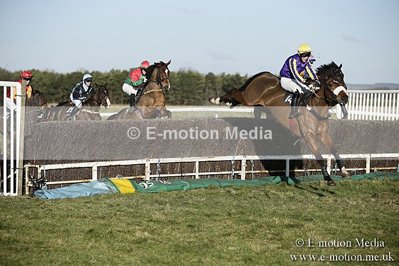 PtP 070118 -389 - Larkhill Racing Club Point to Point Larkhill 07/01/2018
