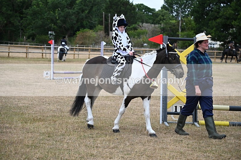 WJ6_8643 - Class 11 Fancy Dress
