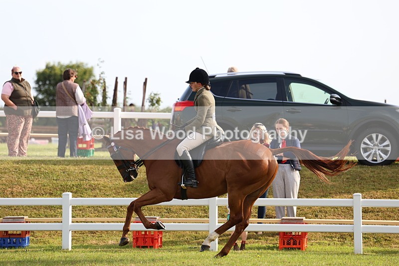 3E7A7760 - Class 1: Rising Star Small Hack/Riding Horses