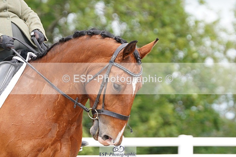 250622-105108-13422 - Cls 52 FreeStyle Elementary Inc Presentations