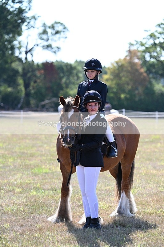 WJ7_3203 - Class 8 Ridden Tack & Turnout