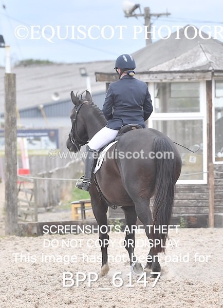 BPP_6147 - NOVICE TEST 4 + 6 LONG ARENA