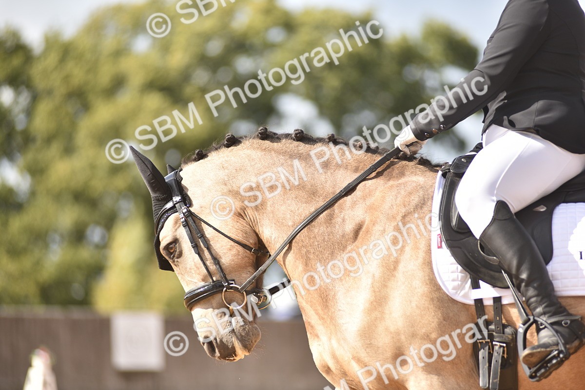 SBM_24285 - D4 - Small Tour Championship Intro 4