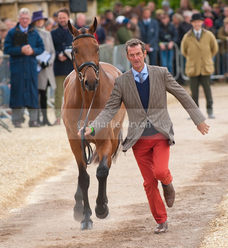  - Mitsubishi 2015 Badminton Horse Trials
