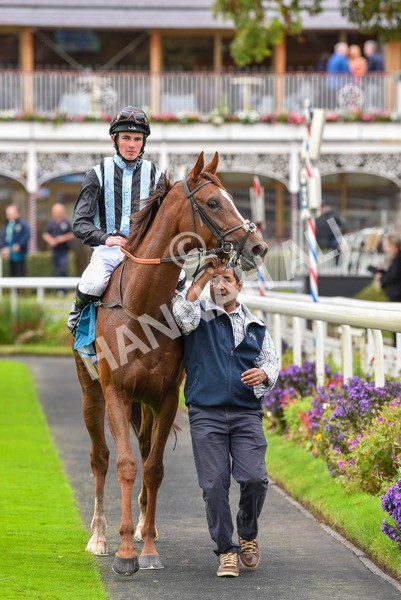 230923-Race 2-Palamon-6106 - Race 2 2.35pm jigsawsportsbranding.co.uk Handicap