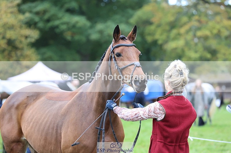 251026A-111301-25307 - F-453-Lucy.Lloyd