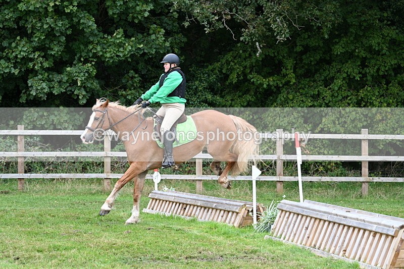 WJ7_7806 - 40cm Time 10:49 to 11:18