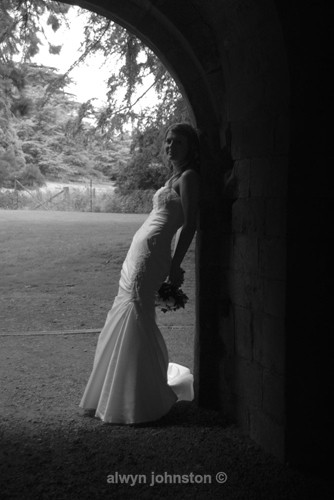  - Weddings Phots Alwyn Johnston