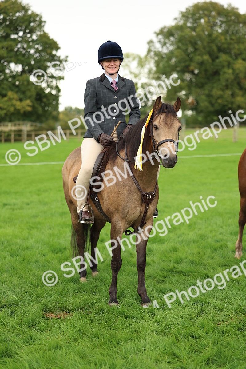 SBM_41890 - S32 - Mountain & Moorland Working Hunter Pony