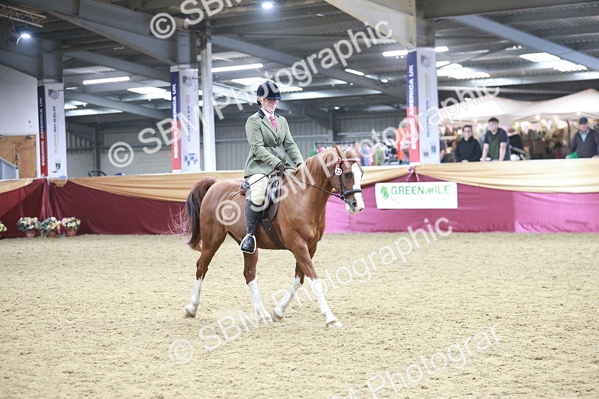 SBM_08133 - Class 11R - Regional Ridden Veteran