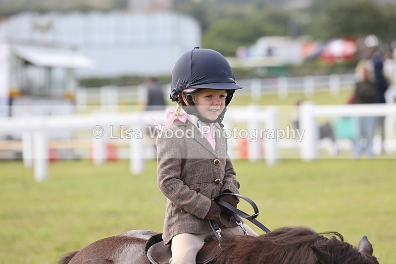 JPP_0419 - Class 14: Cornish Combination Leading Rein