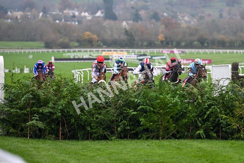 151124-Race 4-Sweet David-8193 - Race 4