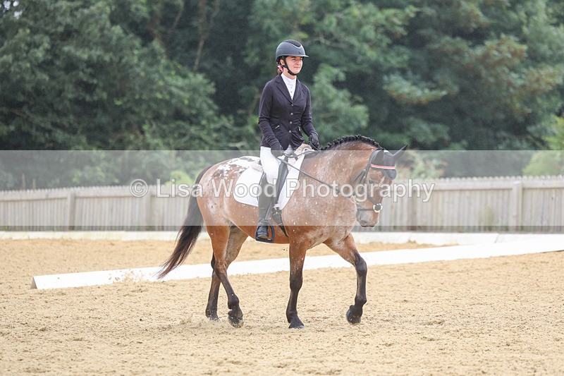 3E7A5374 - Class 2: Intro 4 2024 section B