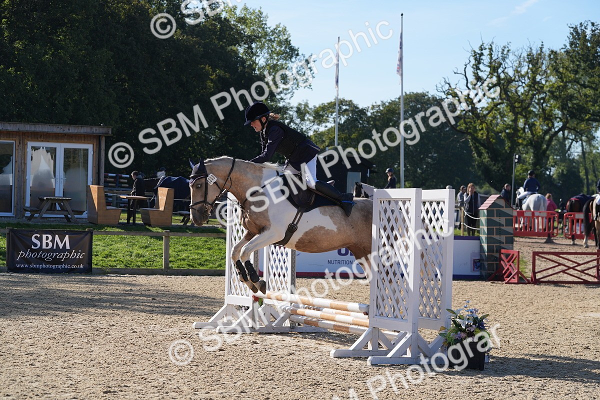 SBM_36132 - J 20 - Junior Horse 50cm Championship