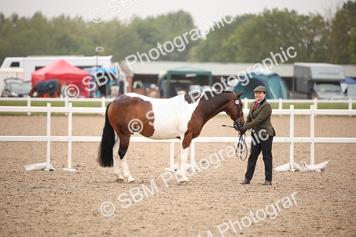 SBM_20174 - Class 703 - IH  Coloured
