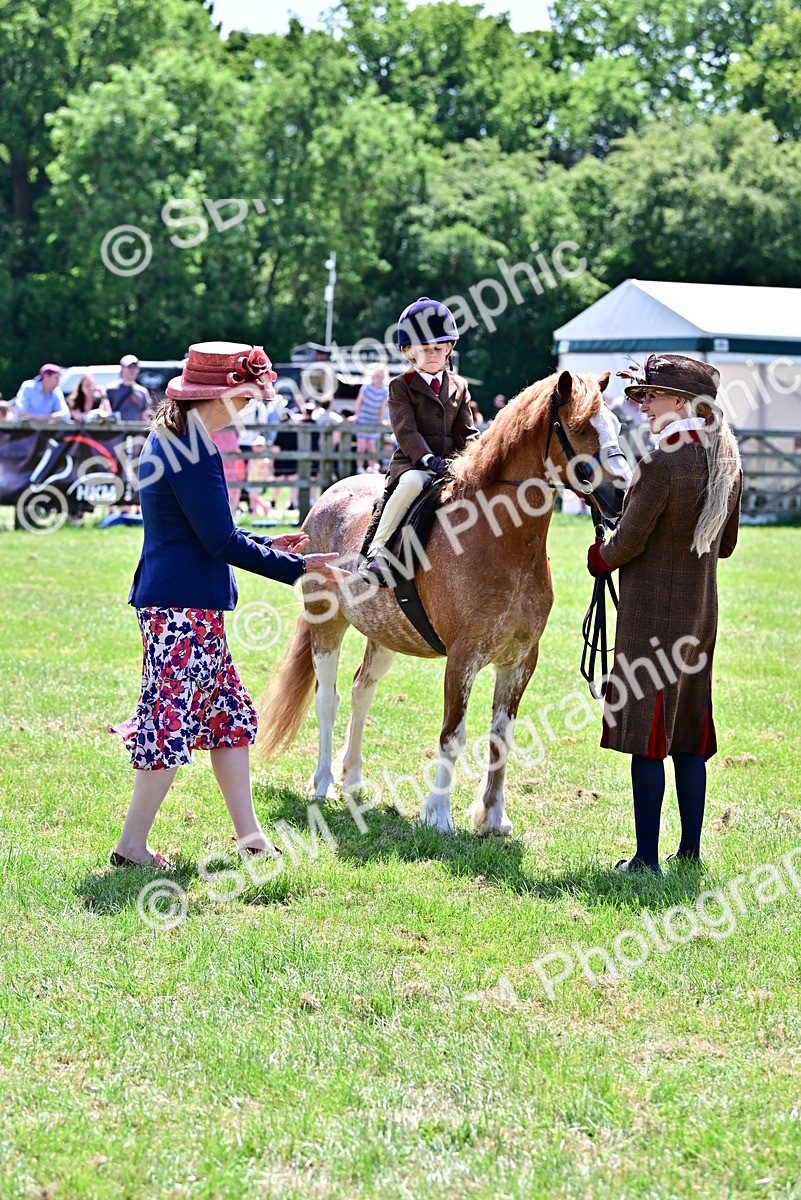 SBM_05840 - Class 59-60 - TSR M&M  Lear Rein and First Ridden Amateur of the year