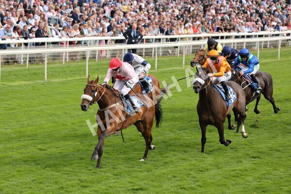 yr18082021r5-52 - Race 5 4.10pm Sky Bet Stakes