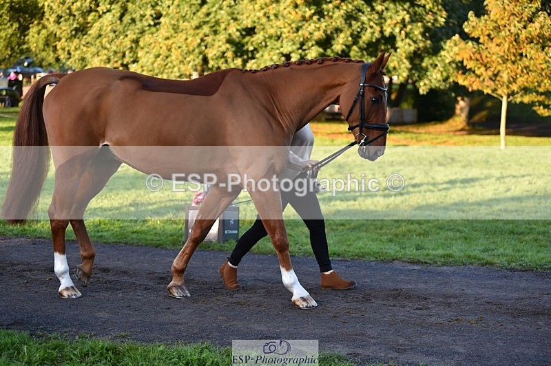 231022-084548-21340 - 625-KILTRA.ALFY-Abi.Meredith-TrotUp+SJ