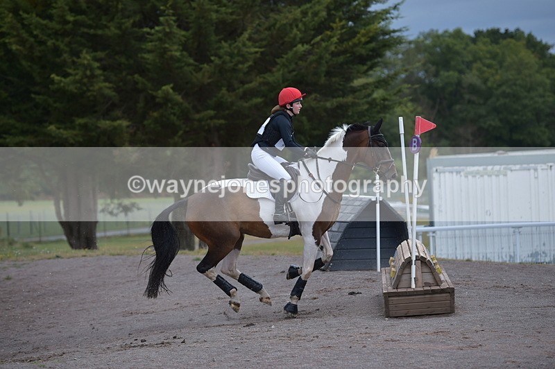 NGP_2137 - XC Time 11:20 to 11:36