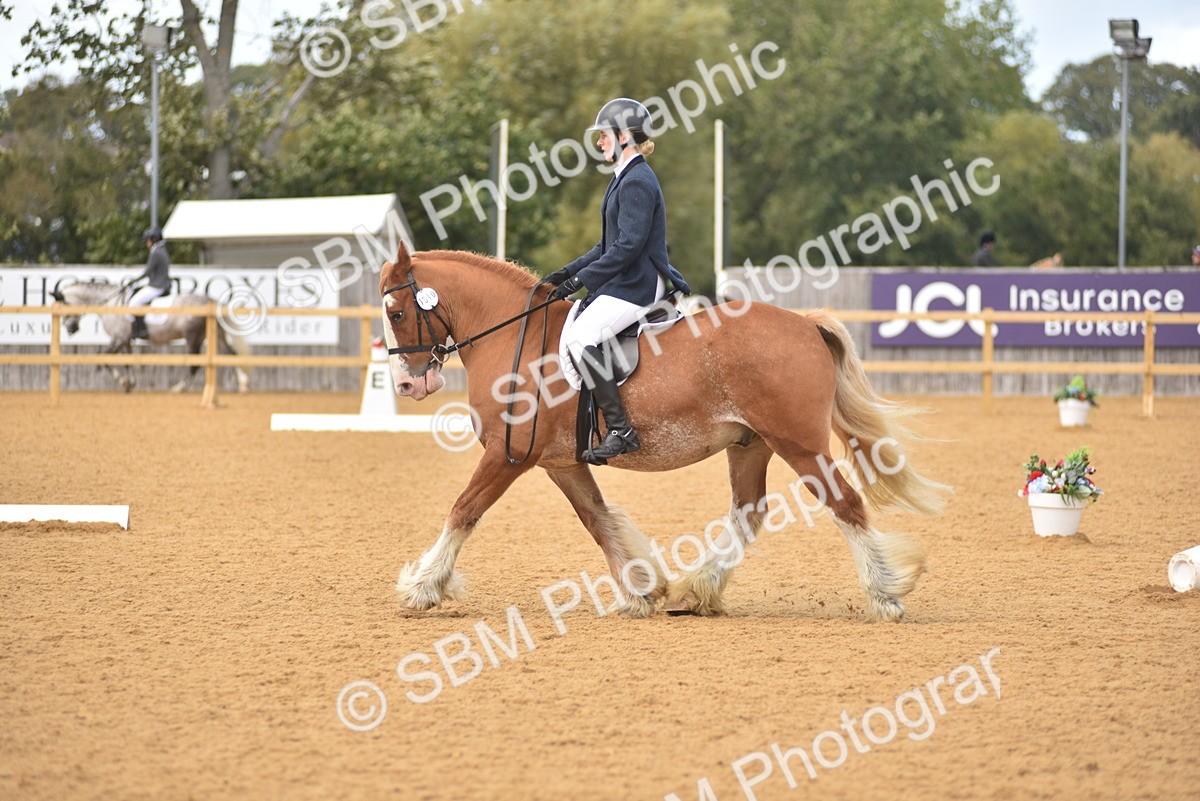 SBM_29610 - D16 -Small Tour Championship Novice 2
