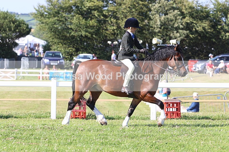 JPP_1255 - Class 18: Cornish Combination Young Rider