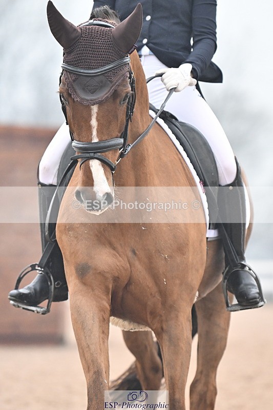 240217A-123005-02237 - 225-Lucy.Goodman-Queenie.S
