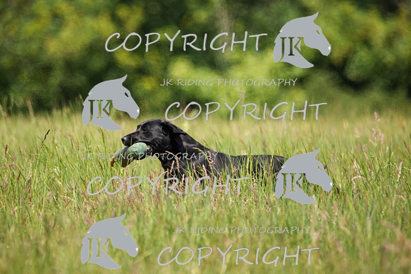 2R6A8637 - 36 Harriet