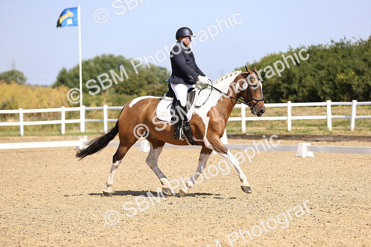 SBM_009313