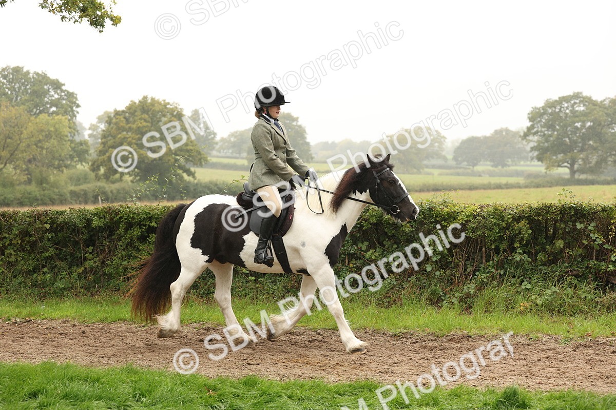 SBM_72695 - S70 - Traditional Cob Ridden