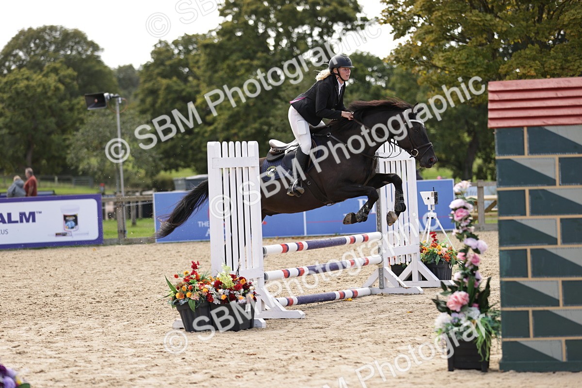 SBM_22295 - J59 - Clear Round 75cm