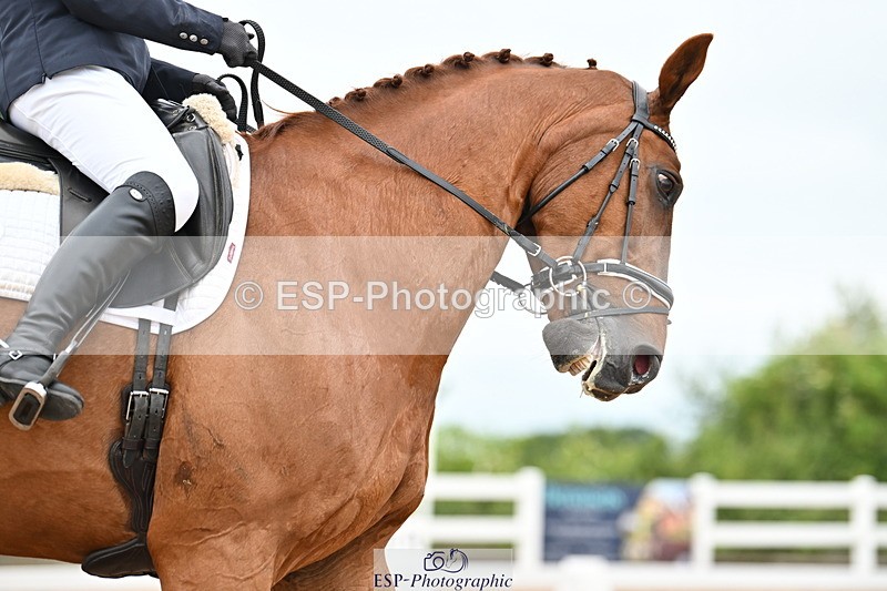 240623A-162229-19925 - Cls 54 BD Medium 73