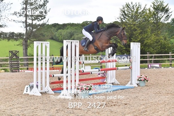 BPP_2427 - SAT CLASS 13 Senior Foxhunter/ 1.20m Open