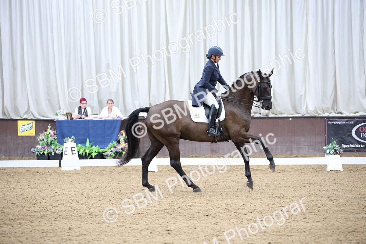 SBM_004715 - Class 9 - FEI Inter 1 Gold - 16.59-17.47