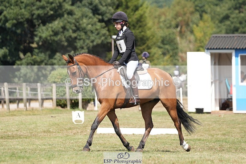 250823A-130550-31118 - Arena A