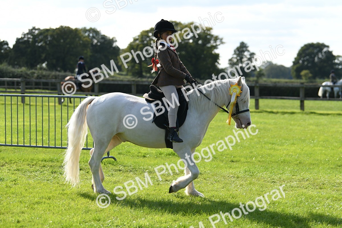 SBM_50537 - S21 - Novice & Newcomers 1st Ridden Pony