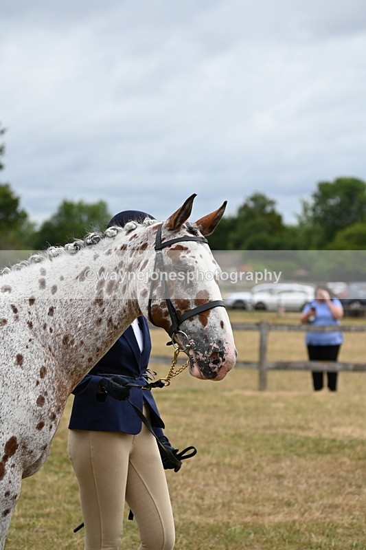 WJ6_4274 - Class 10 Coloured In-hand