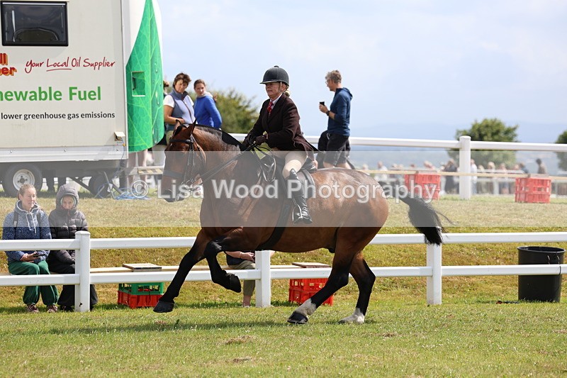 3E7A9769 - Class 5: Rising Star Lightweight/Heavyweight Cobs