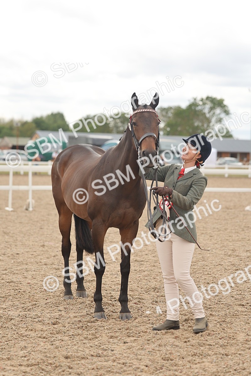 SBM_17145 - Class 313 - IH Retired Racehorse