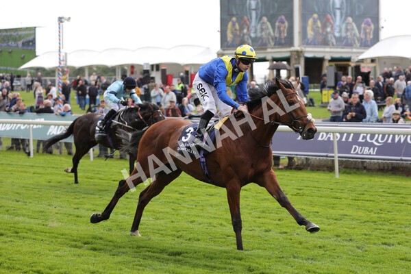 yr12052022r4-47 - Race 4 3.35pm Al Basti Equiworld Dubai Dante Stakes