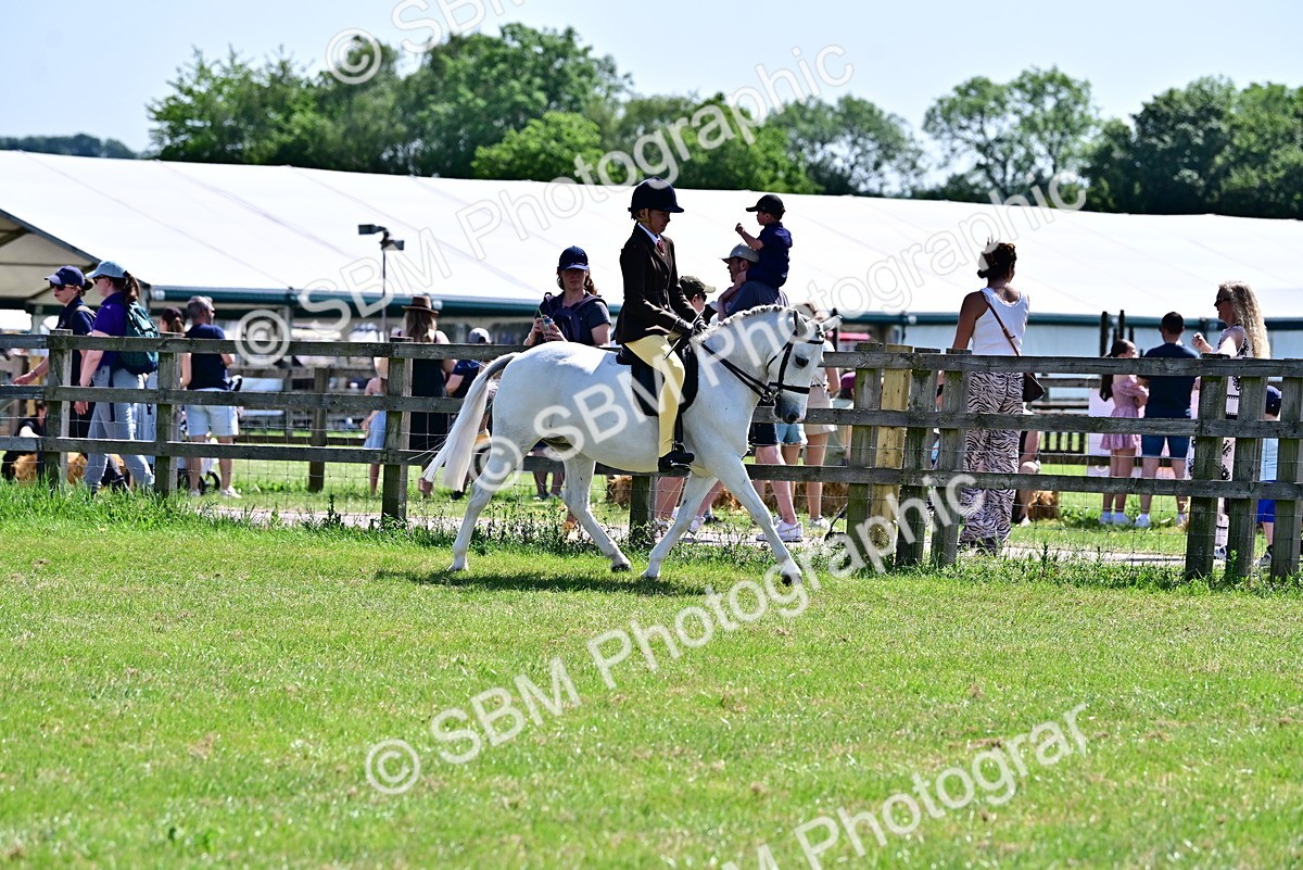 SBM_13905 - Class 95-97 - BSPS LHS Performance Ponies