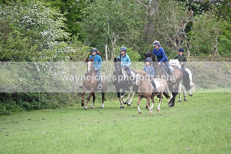 WJ6_2946 - A Camera