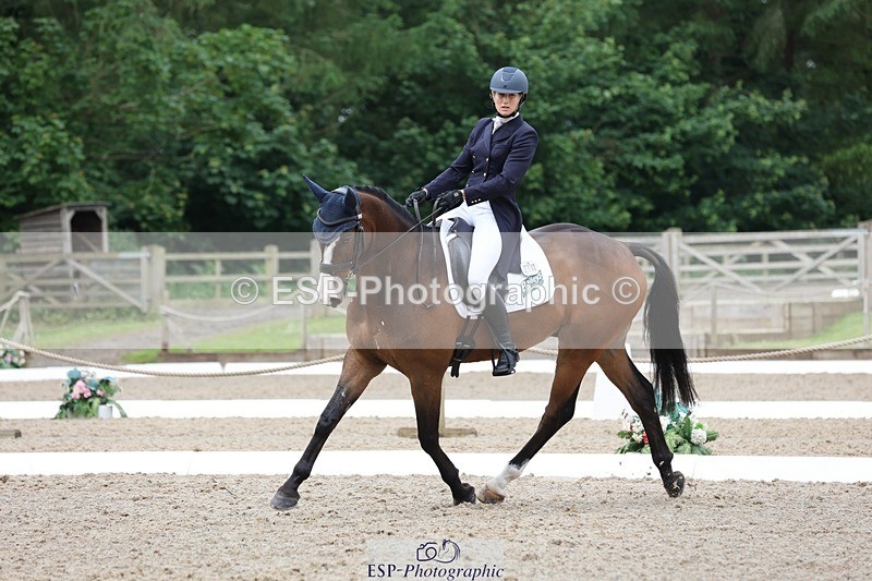 240523-104217-03383 - 214-DSH_GOLDEN_EYE-Lucinda_Mesquita