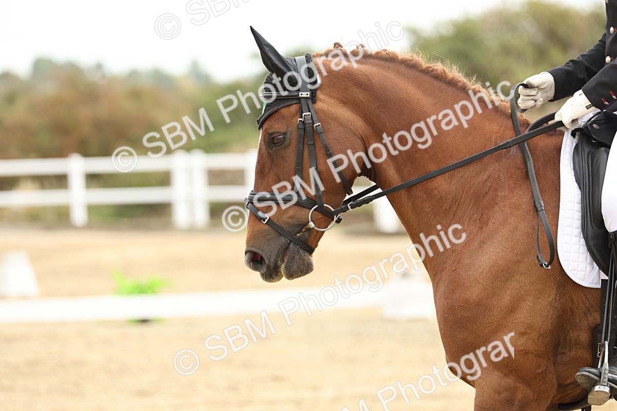 SBM_006899 - Class 21 - Medium 5 Bronze - 10.04-10.52