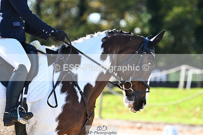 231110-114514-00520 - Cls 3 Novice 22